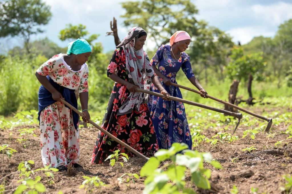 Community Climate Education Workshop Reaches 200 Farmers in Morogoro