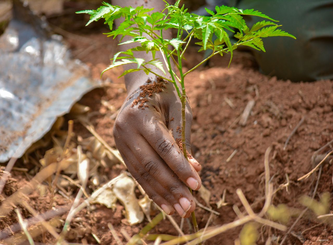Environmental Education Campaigns