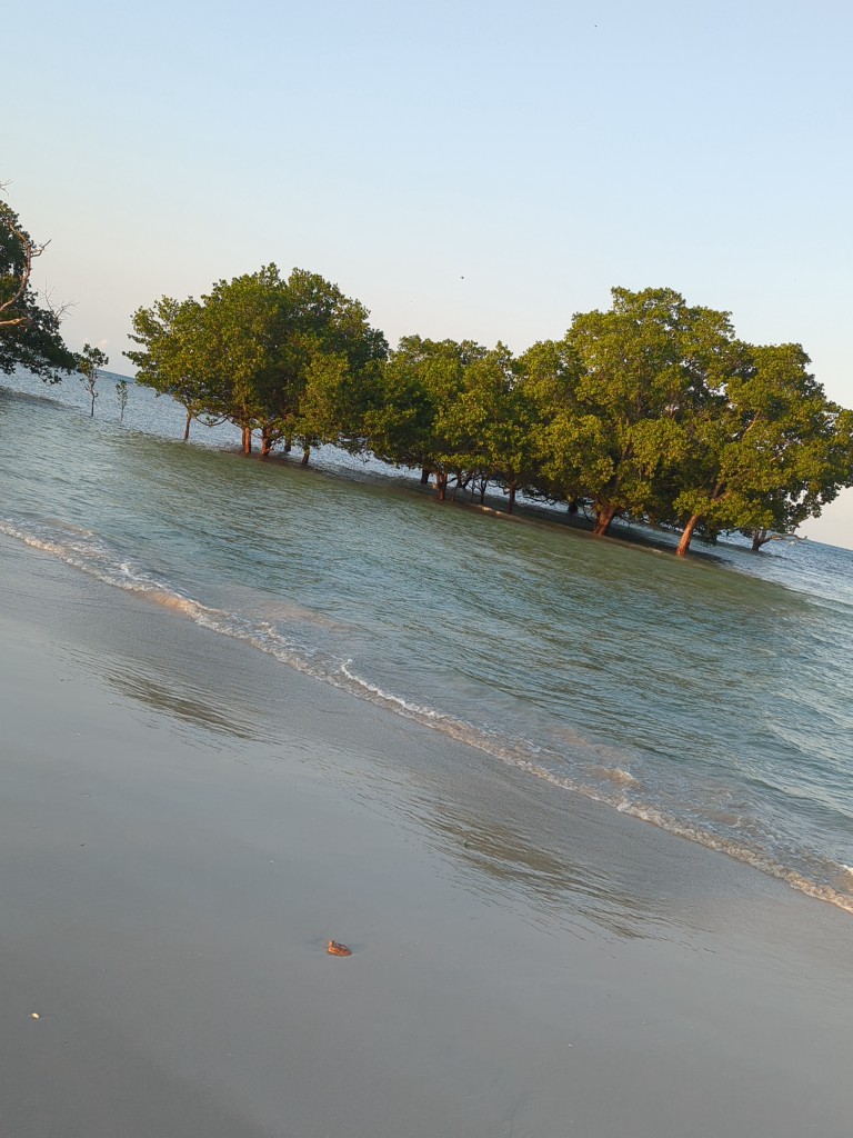 Coastal & Marine Ecosystem Conservation